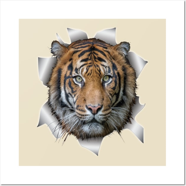 Wildlife Bengal-tiger Wall Art by Nadine8May